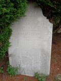image of grave number 253621
